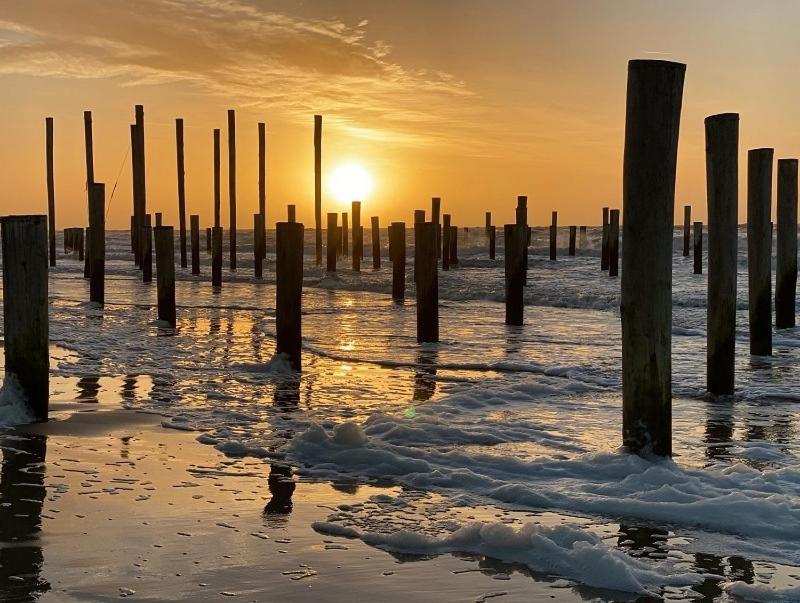 Villa De Kameleon Petten Esterno foto